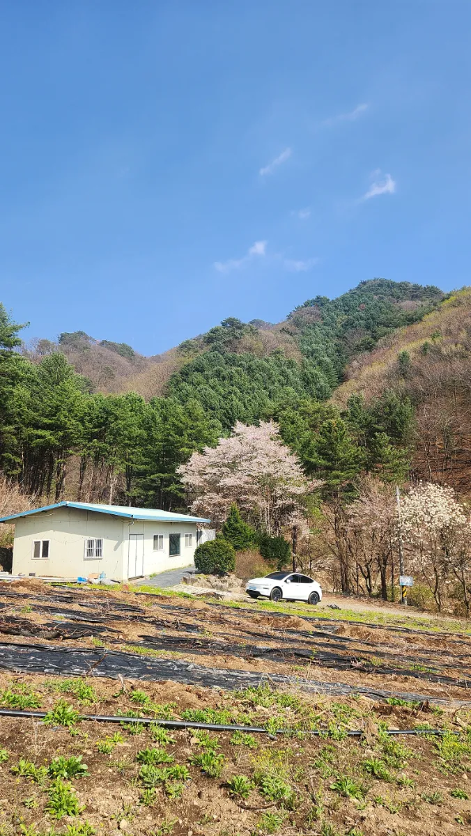 약 15평 노후 시골집 리모델링 전 원본 외관 사진