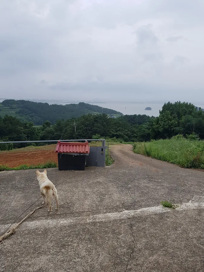 매물 이미지 1