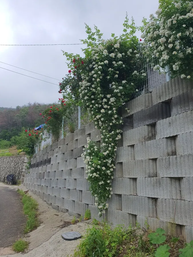 매물 이미지 14