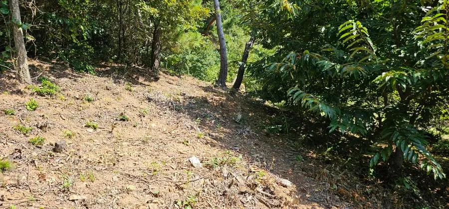 매물 이미지 28
