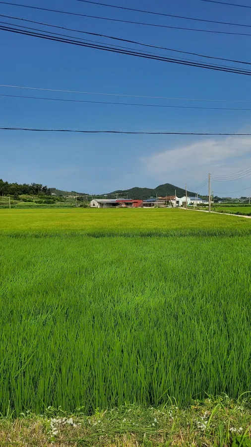 전남 해남 바닷가 주택 매매 - 테라스 완비, 독립적인 생활