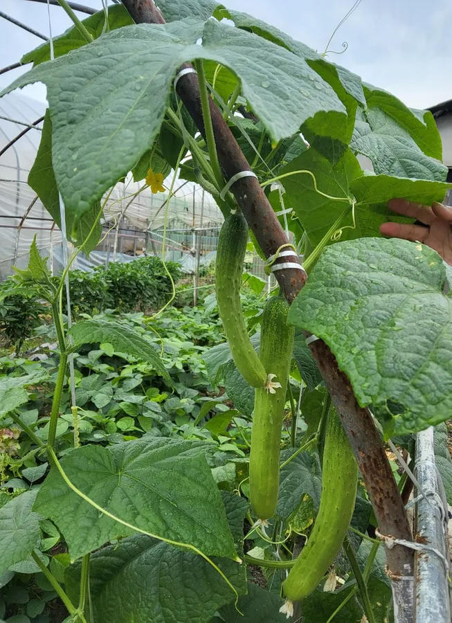 매물 이미지 7