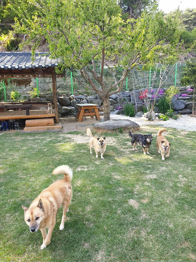매물 이미지 14
