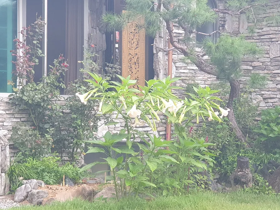 매물 이미지 15