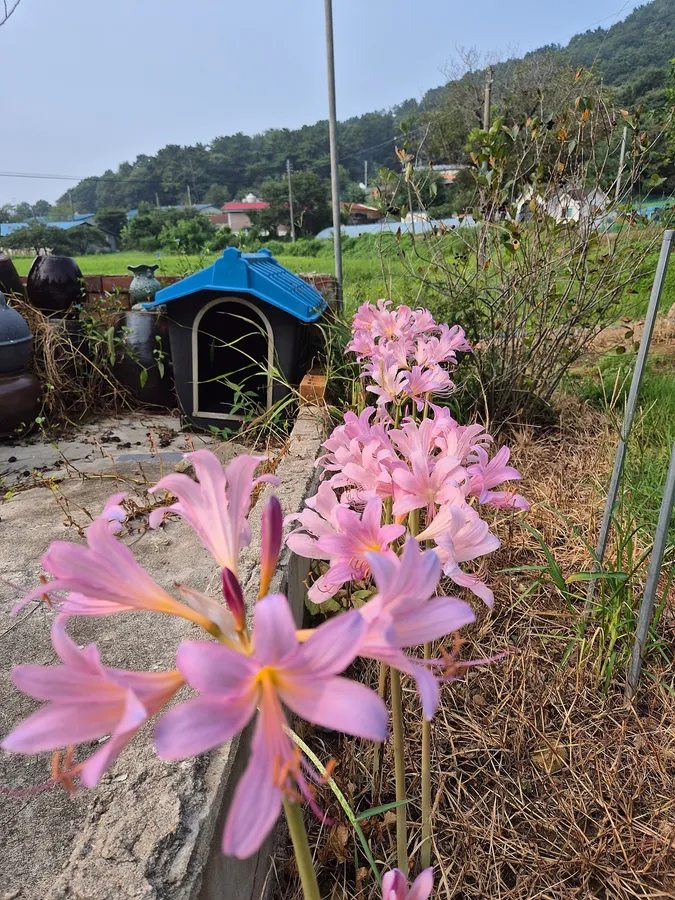 매물 이미지 14