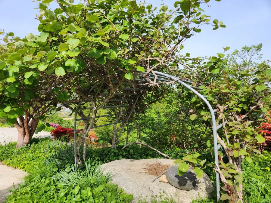 매물 이미지 24