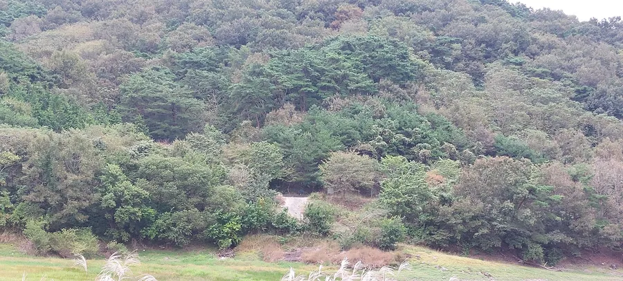 매물 이미지 2