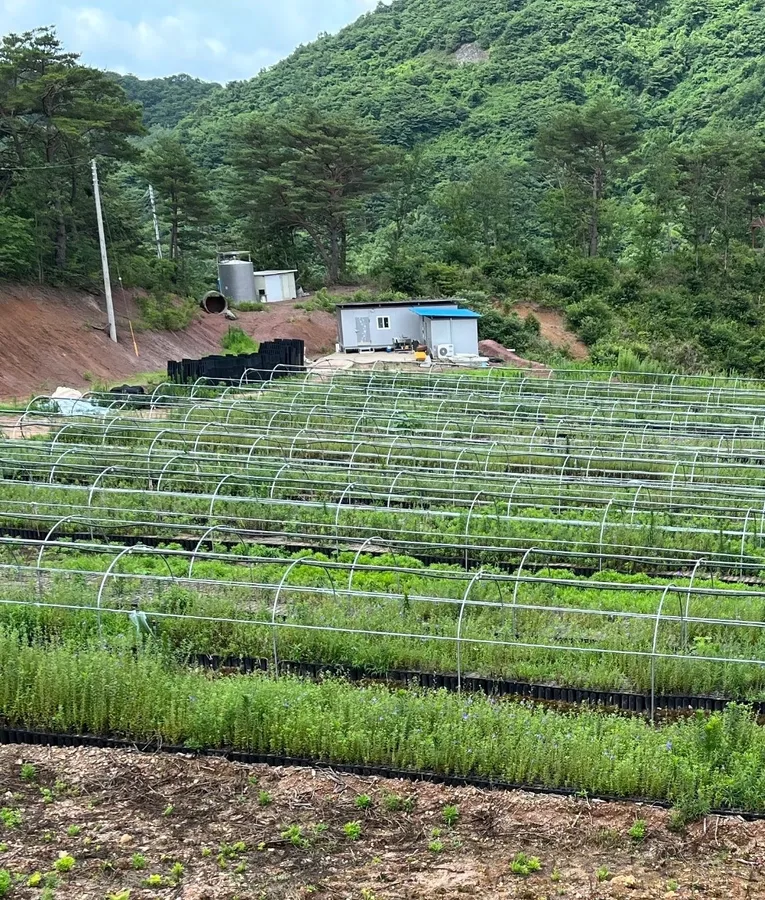 매물 이미지 2