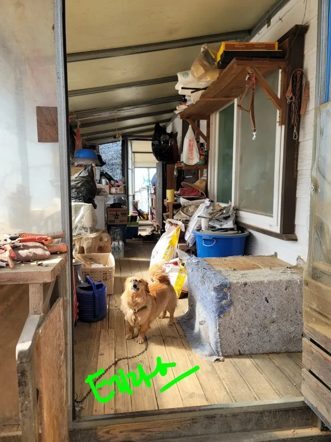 매물 이미지 3