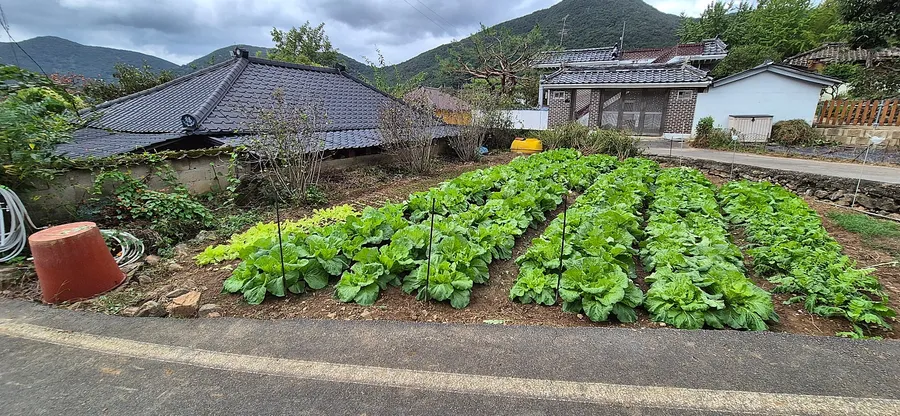 매물 이미지 10
