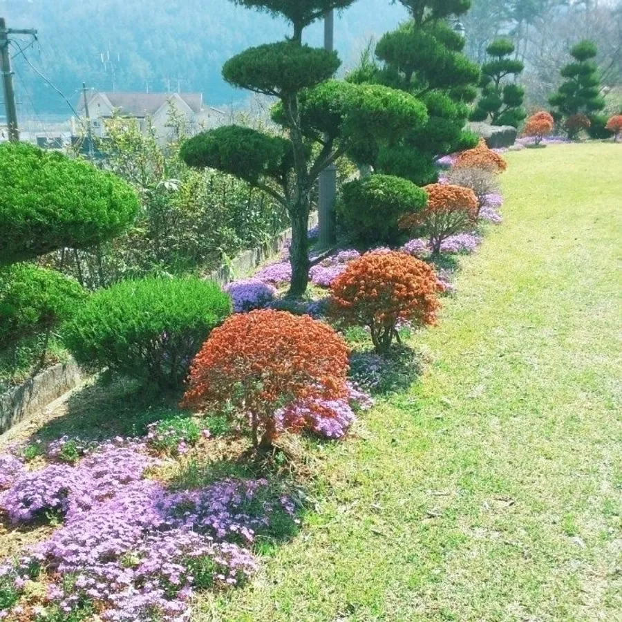 매물 이미지 4
