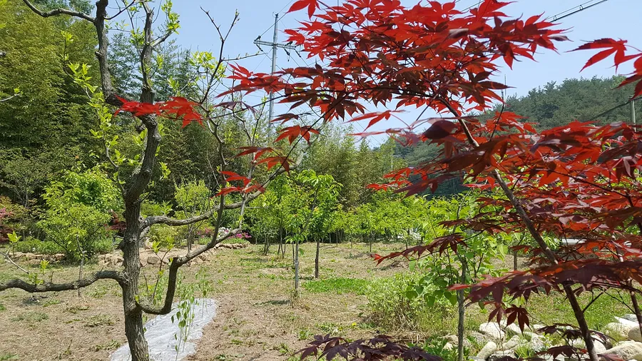 매물 이미지 3