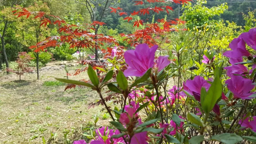 매물 이미지 6