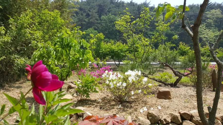 매물 이미지 7