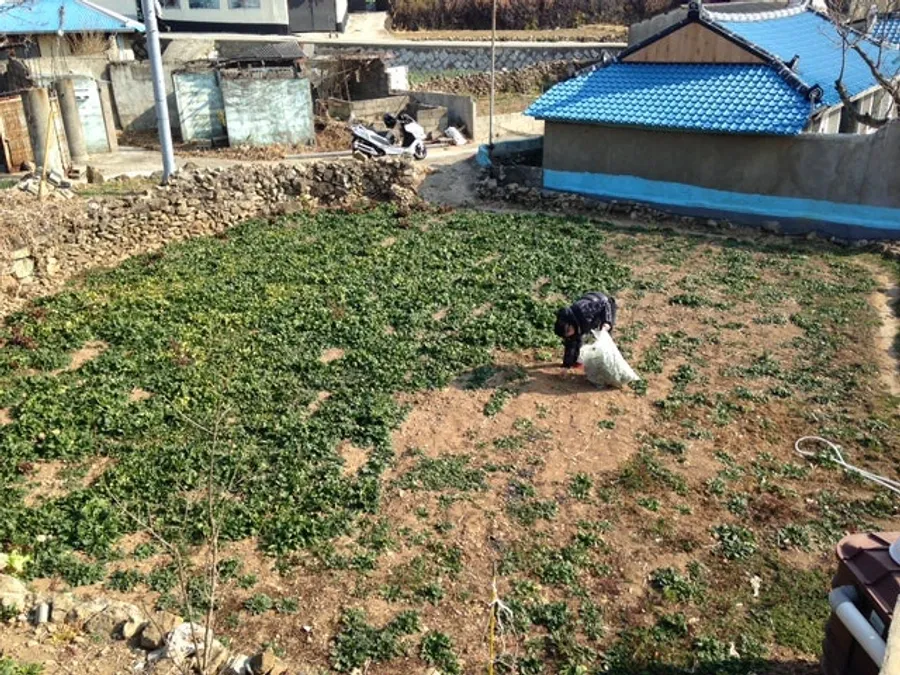 매물 이미지 7