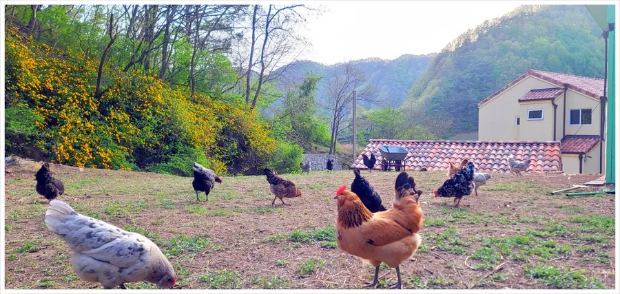 매물 이미지 13