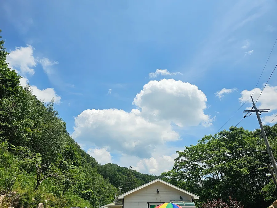 강원 정선 강원 정선 시골집 급매 - 조용한 전원생활, 9천만원 대표 사진