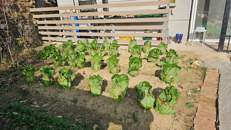매물 이미지 3