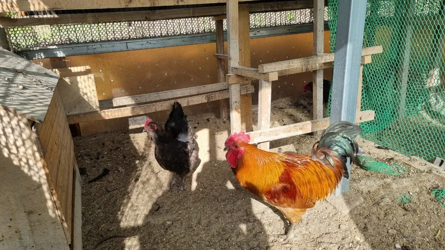 매물 이미지 11