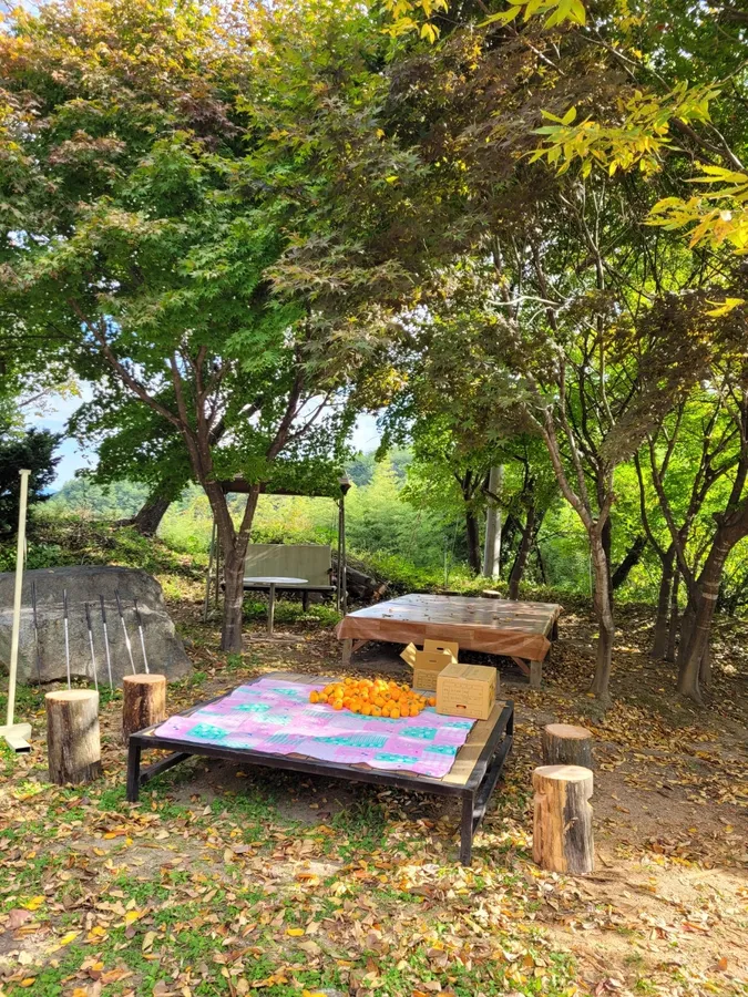 매물 이미지 5