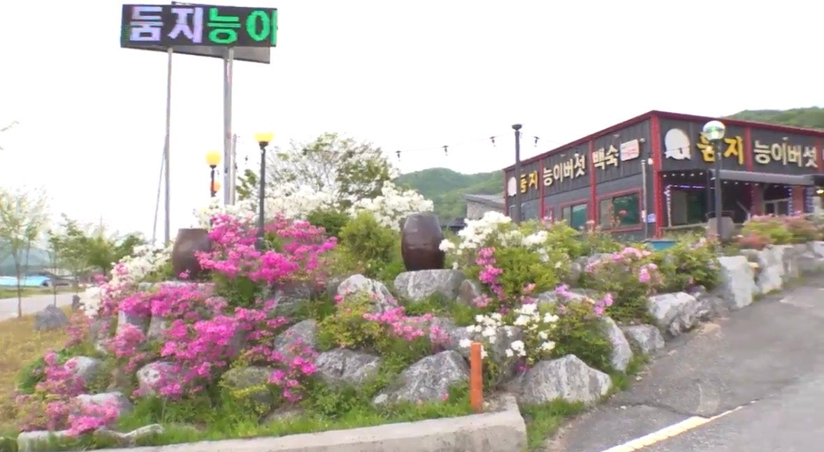 강원 철원군 서면 시골집 전경 및 식당