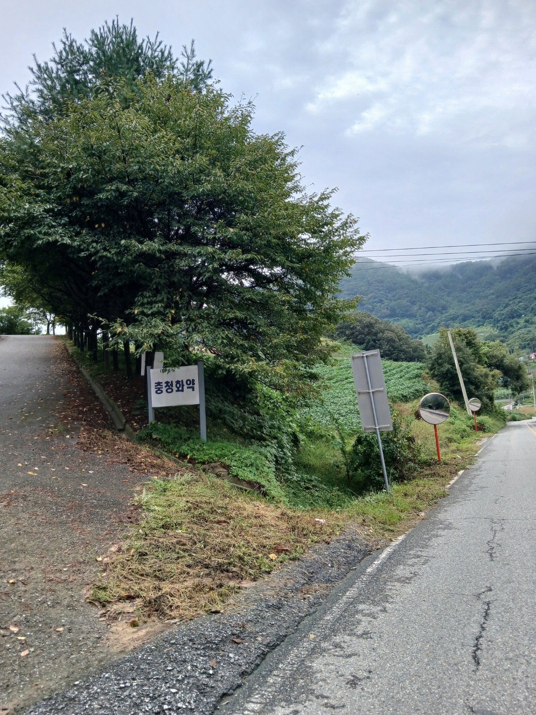 충북 충주시 대소원면 탄용리 산 58 2 시골집 매매 대표 사진