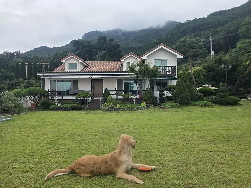 충남 금산 힐링 전원주택 매매 고급 주택 매매