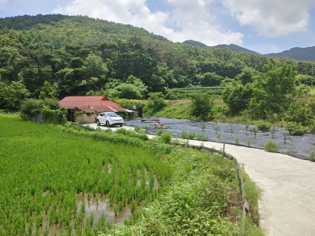 충남 청양 시골집 매매 - 내부 수리 완료된 6천만원 귀촌지 상세 사진 2