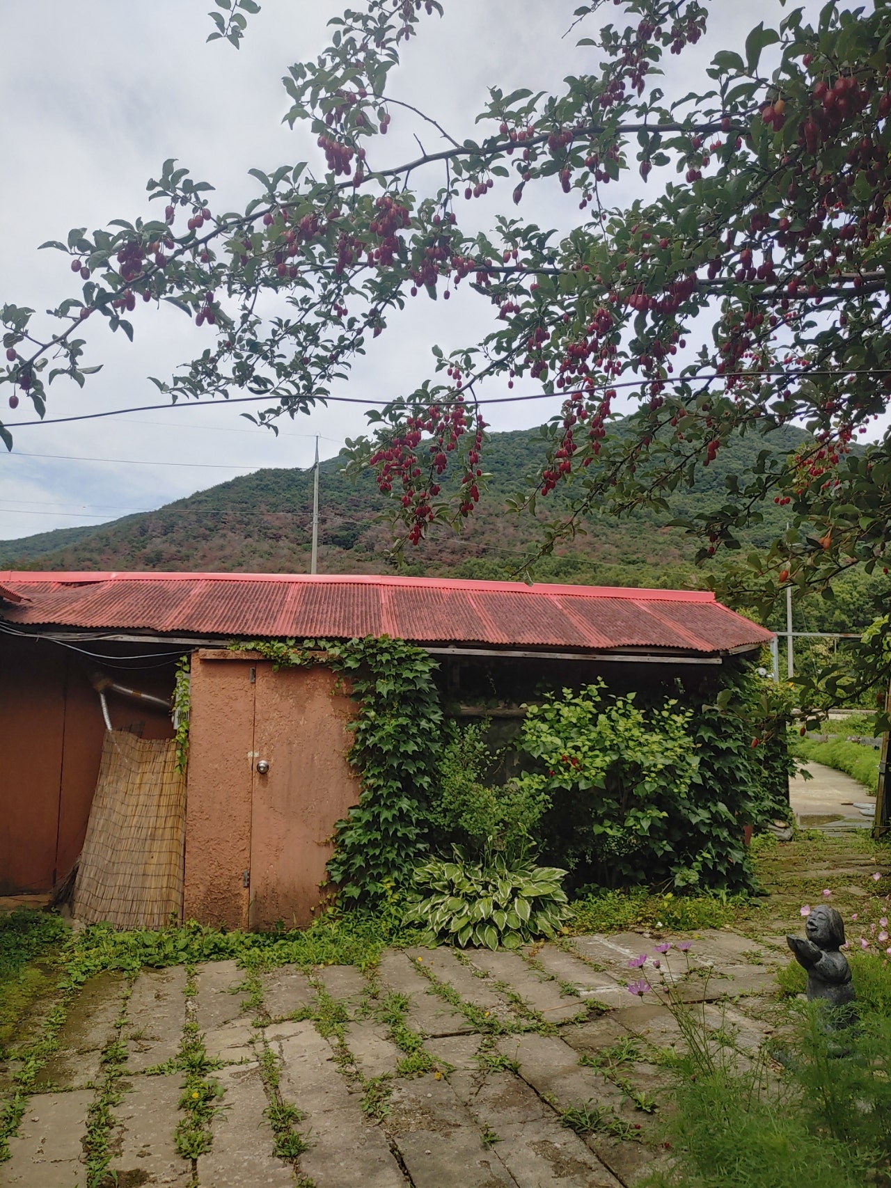 충남 청양 시골집 매매 - 내부 수리 완료된 6천만원 귀촌지 상세 사진 9