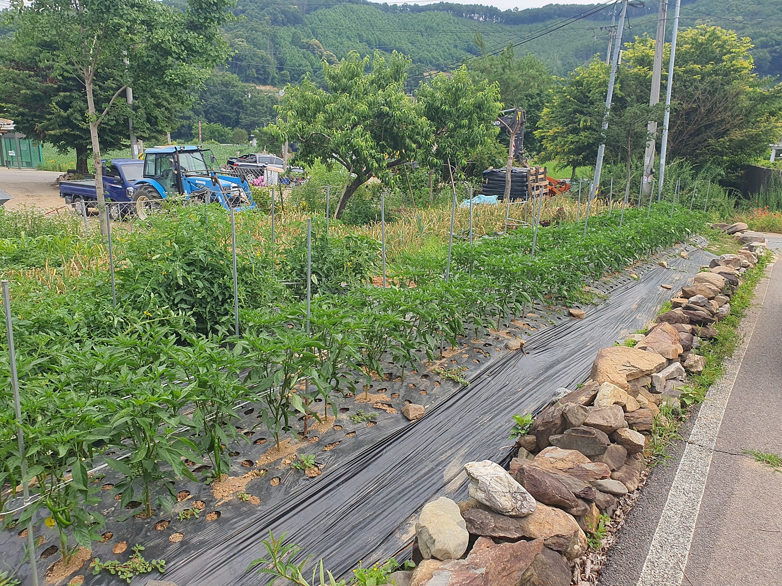 충북 괴산 전원주택 매매 - 정성 가득한 세컨하우스와 독립 텃밭 상세 사진 4