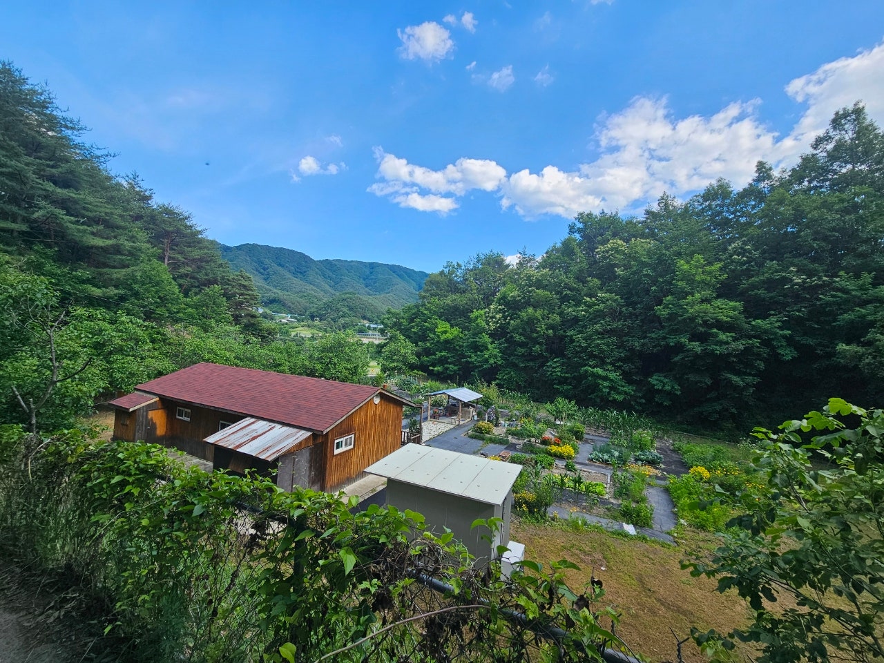 경북 김천 전원주택 매매 - 산자락 아래 독립적인 두 채의 집 상세 사진 2