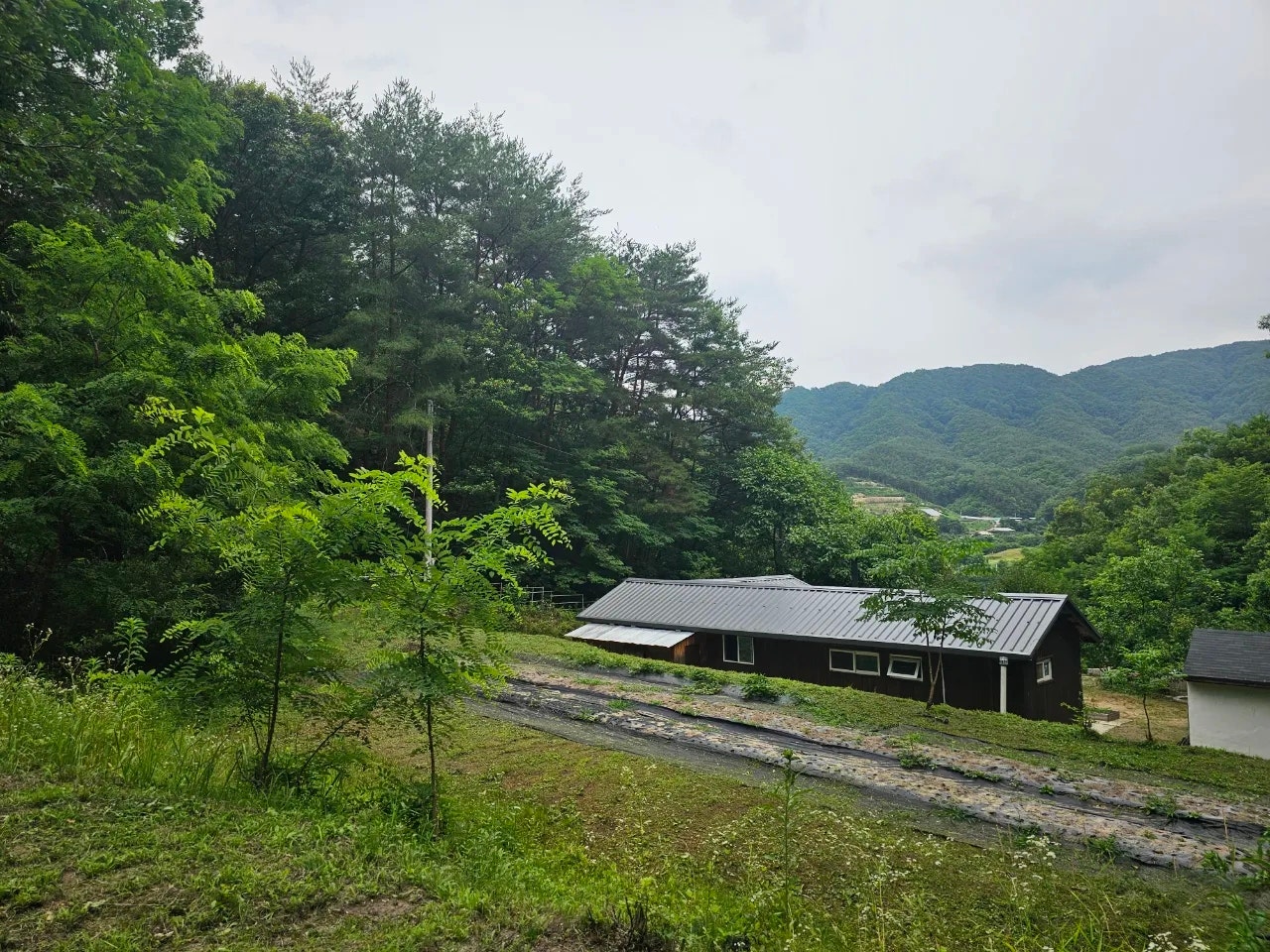 경북 김천 전원주택 매매 - 산자락 아래 독립적인 두 채의 집 상세 사진 16