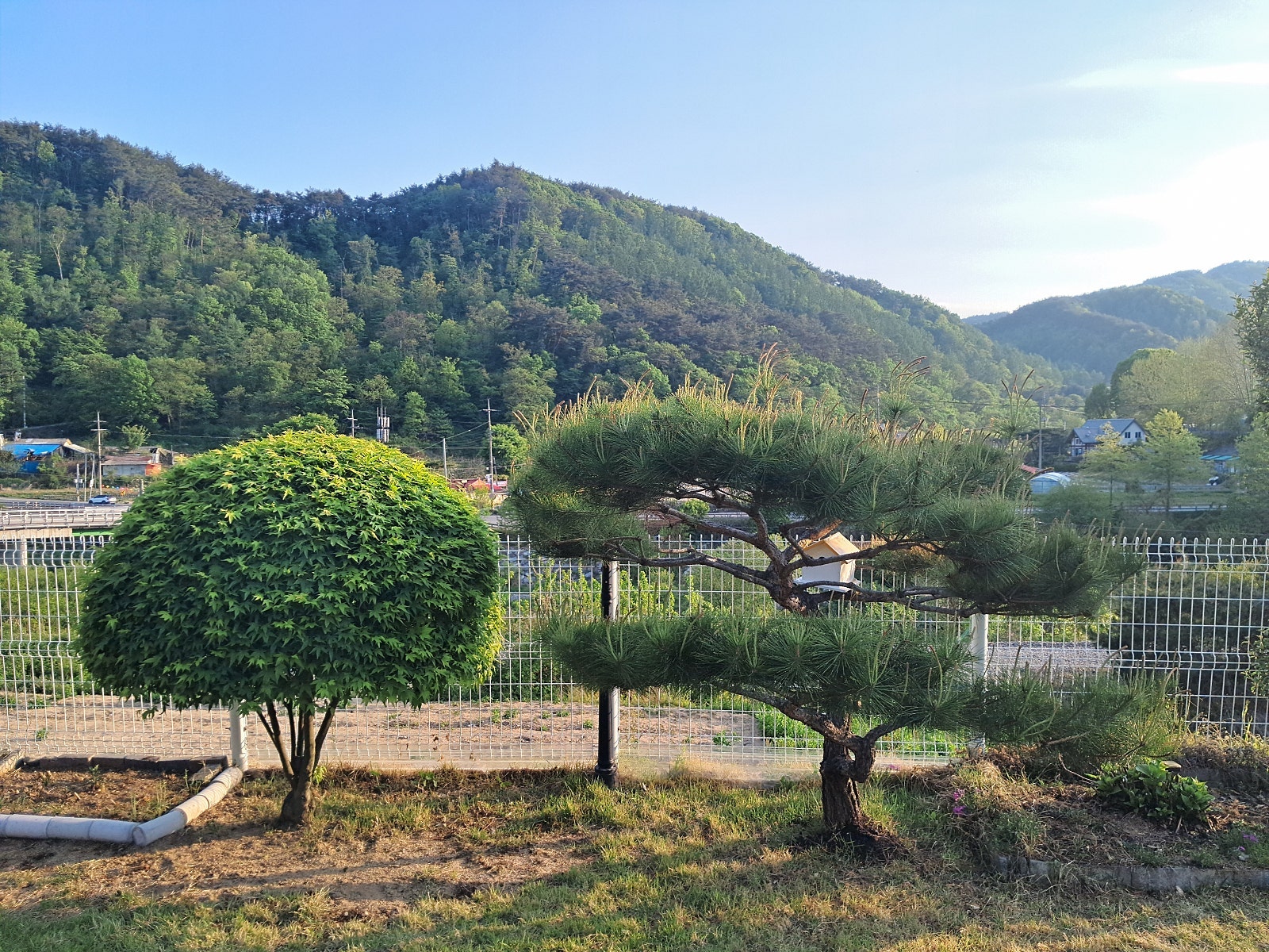 충북 제천 전원주택 매매 - 배산임수 명당의 힐링 공간 상세 사진 9