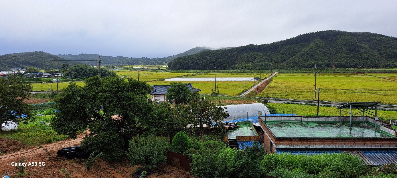시골집 매물 상세 사진 5
