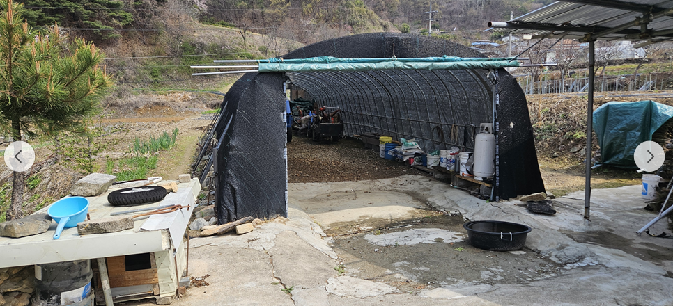 경북 예천 전원주택 매매 - 400평 넓은 토지와 황토방이 있는 집 상세 사진 10