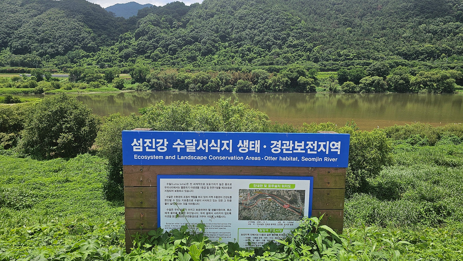전남 구례 시골집 매매 - 189평 대지의 프라이빗한 숲속 쉼터 상세 사진 9