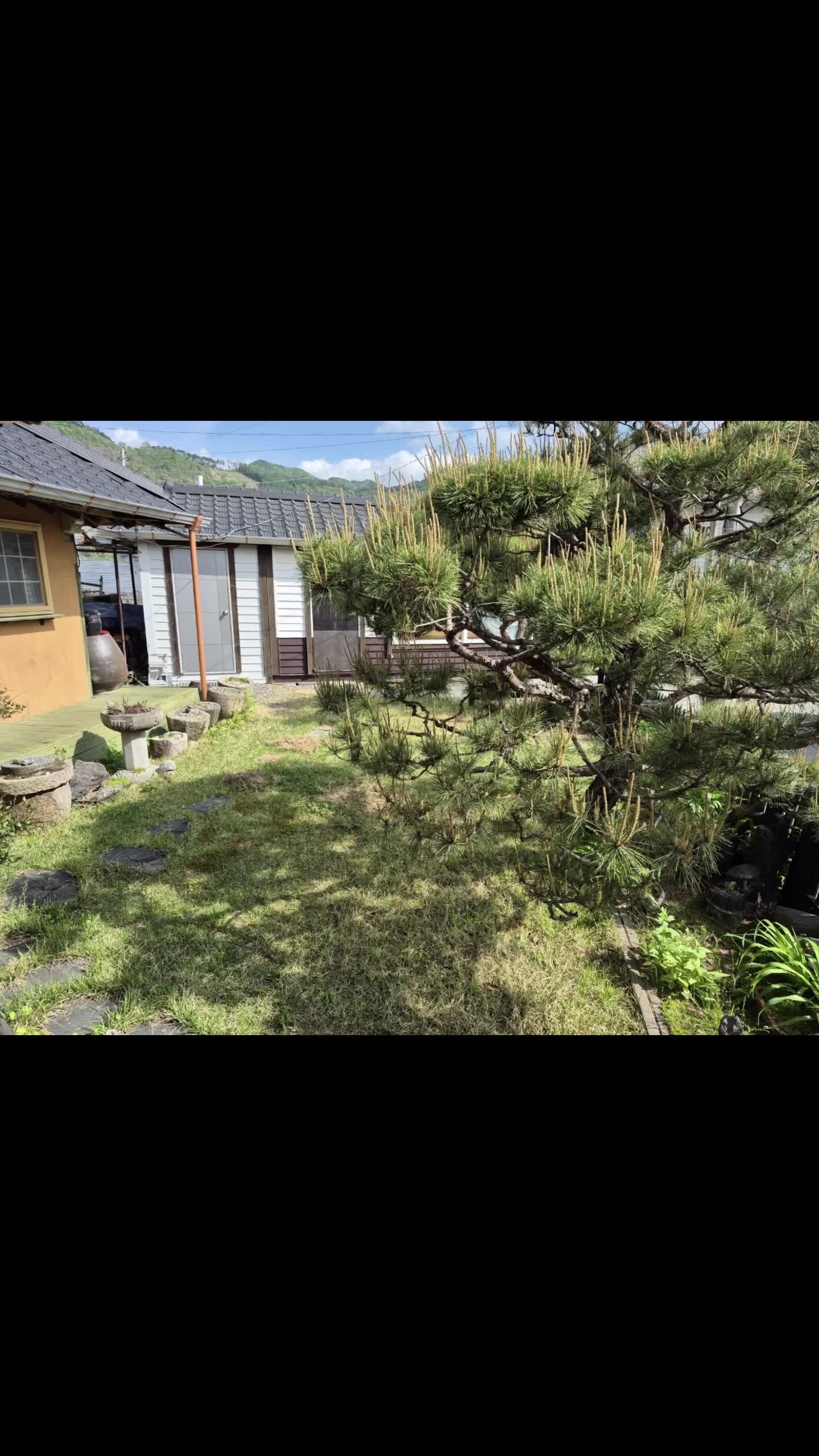 충북 청주 전원주택 매매 - 소나무와 원두막이 있는 힐링 공간 상세 사진 7