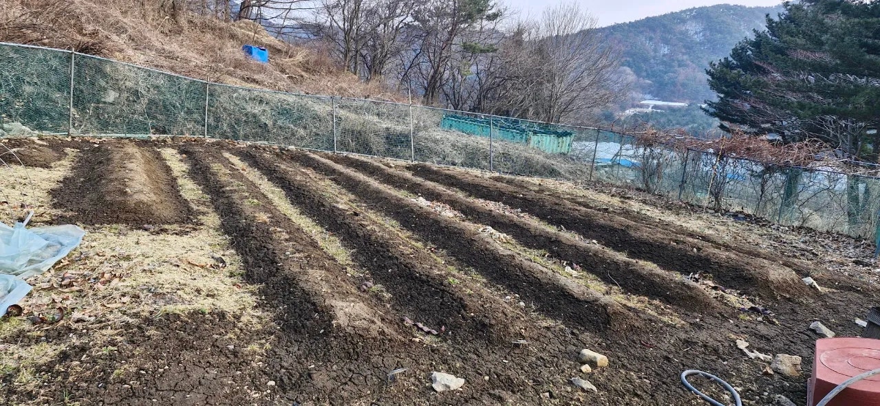 경남 합천 전원주택 매매 - 가야산 인근 넓은 마당과 텃밭 상세 사진 34