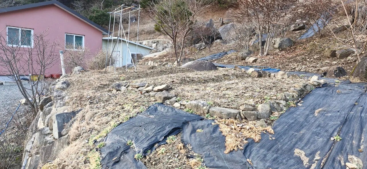 경남 합천 전원주택 매매 - 가야산 인근 넓은 마당과 텃밭 상세 사진 35