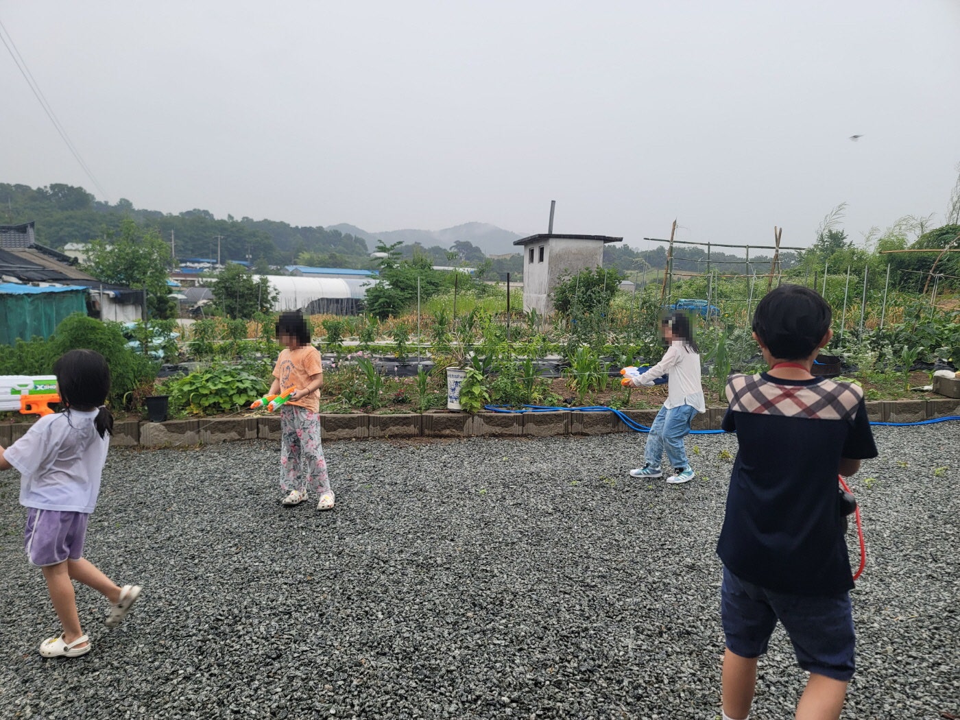 충남 논산 시골집 매매 - 아버지를 위한 텃밭과 흙집 상세 사진 15