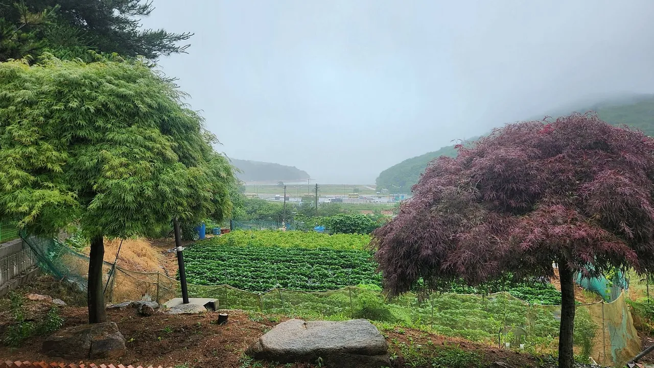 인천 무의동 전원주택 매매 - 파노라마 오션뷰 급매 상세 사진 4