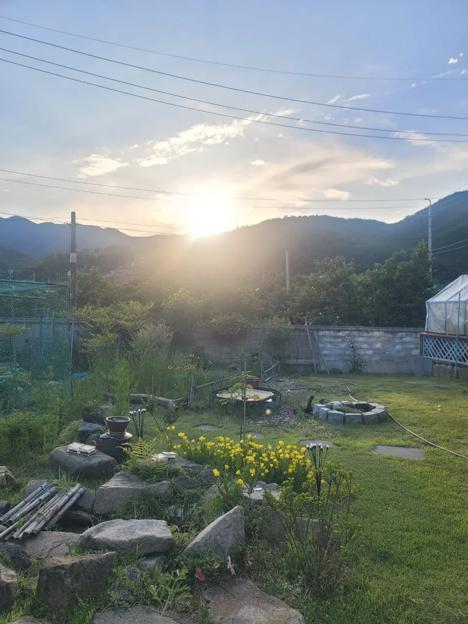 경북 청도 전원주택 매매 - 태양광 완비 및 넓은 텃밭 활용 가능 상세 사진 5