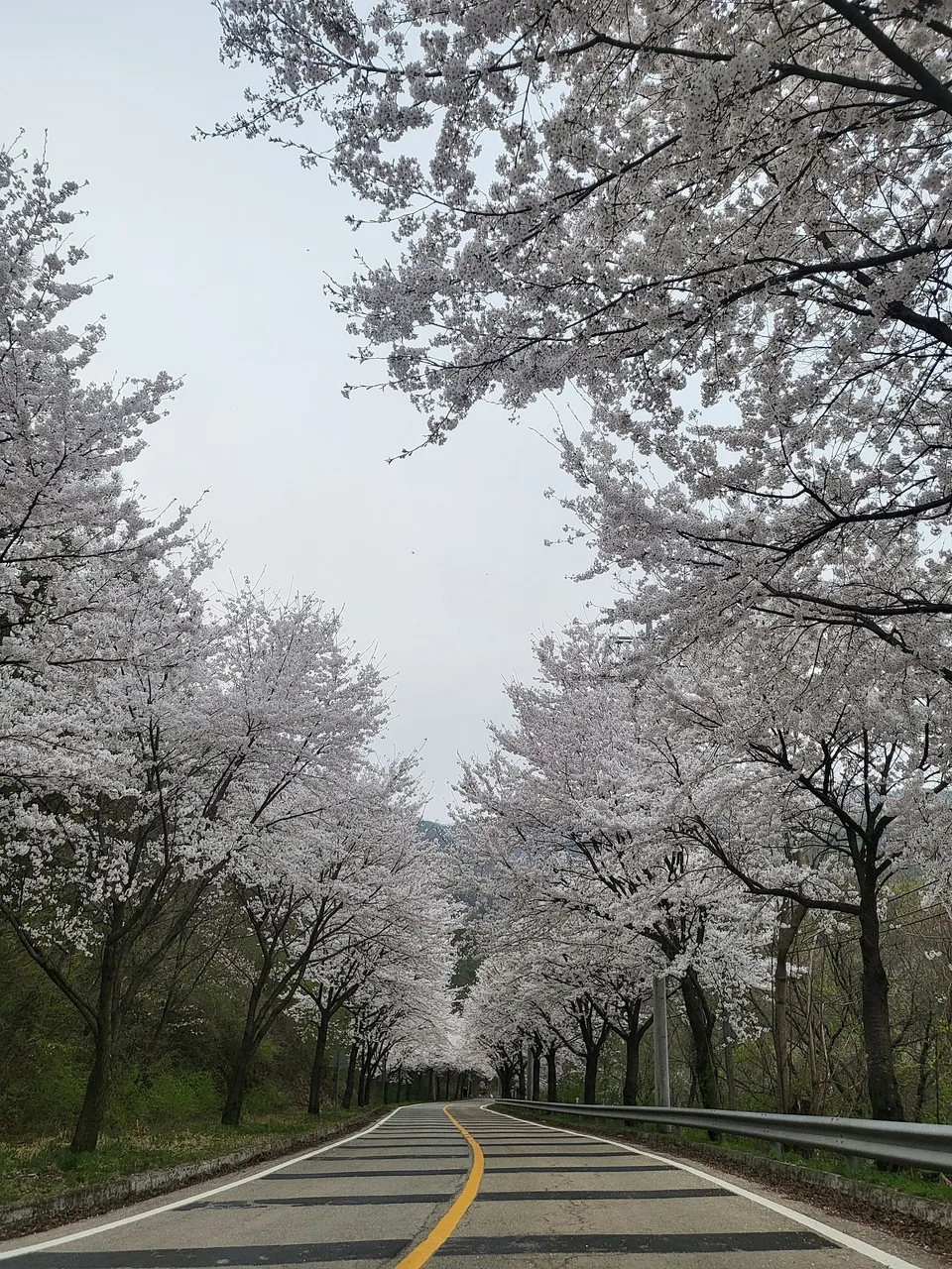 경기 여주 전원주택 임대 - 태양광 및 지열 난방 완비 상세 사진 8