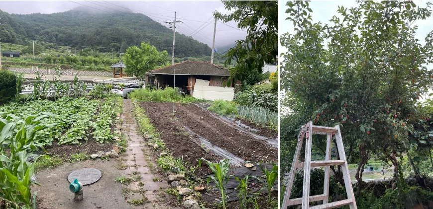 경남 마산 시골집 월세 - 창원 30분 거리 넓은 마당과 텃밭 상세 사진 5