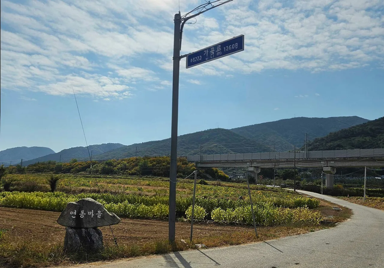 충북 충주 앙성면 파란 지붕 시골집 전경