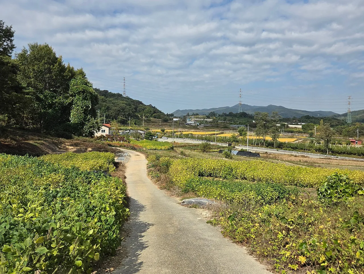 충북 충주 시골집 월세 - 깔끔한 관리와 교통 편리한 전원생활 상세 사진 11